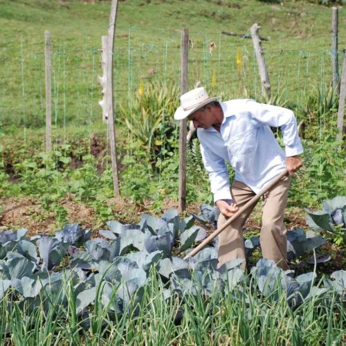 La Agroecología Como Estilo De Vida Para Una Ruralidad Digna - Premio ...